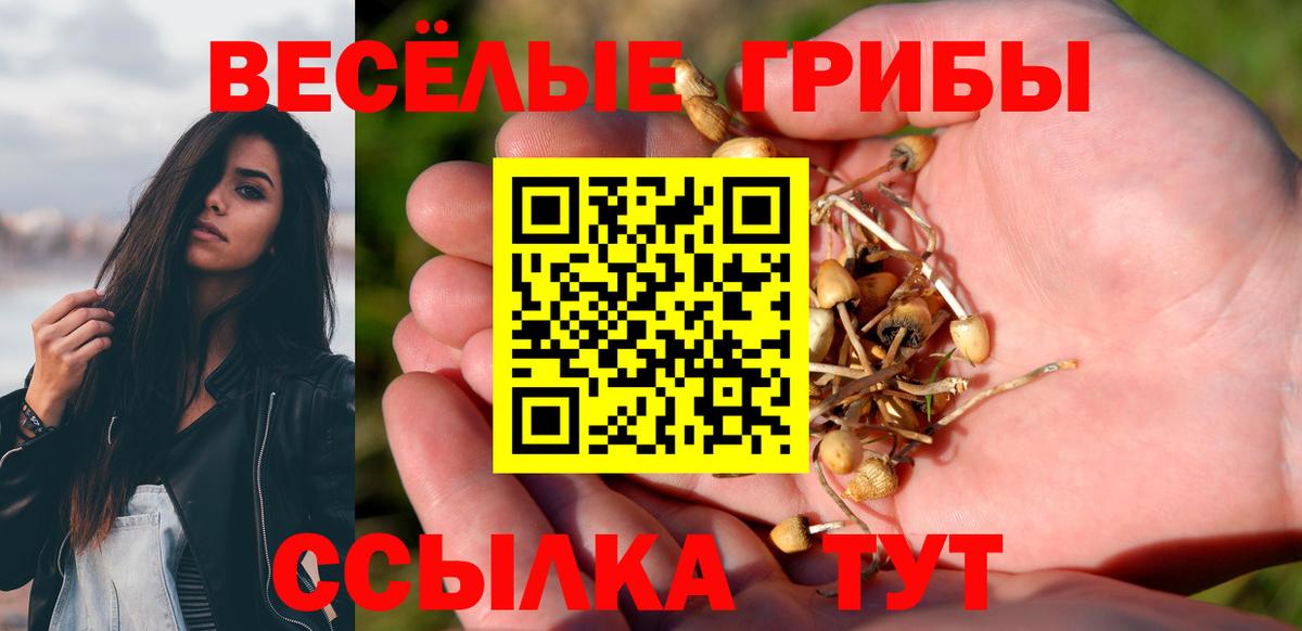 Галлюциногенные грибы MAGIC MUSHROOMS Азов