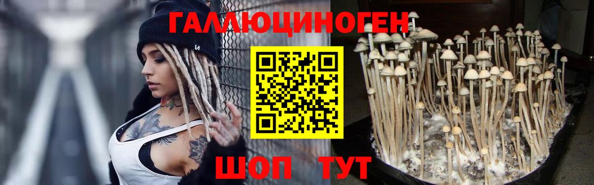 Галлюциногенные грибы MAGIC MUSHROOMS  Вход с VPN  Псилоцибиновые грибы Magic Shrooms  Азов 